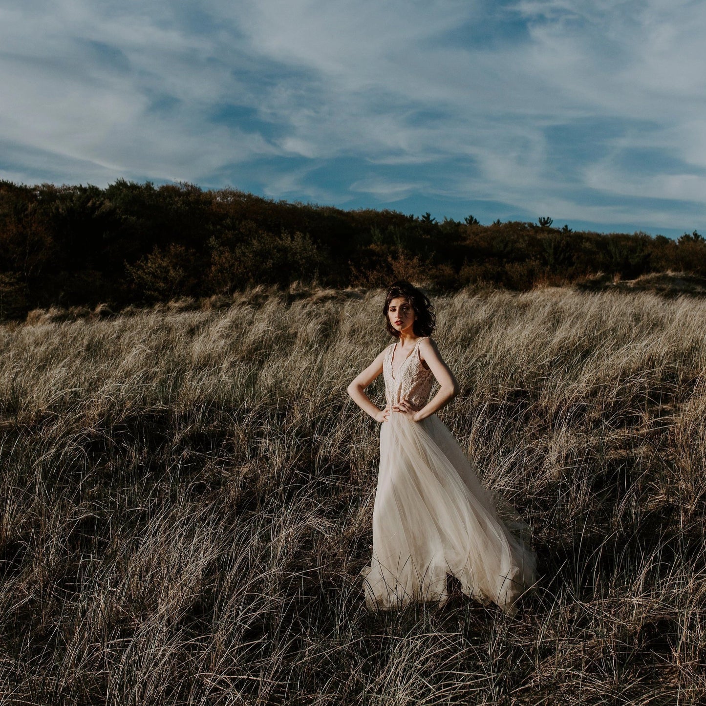 Viviana Lace Tulle Bridal Gown